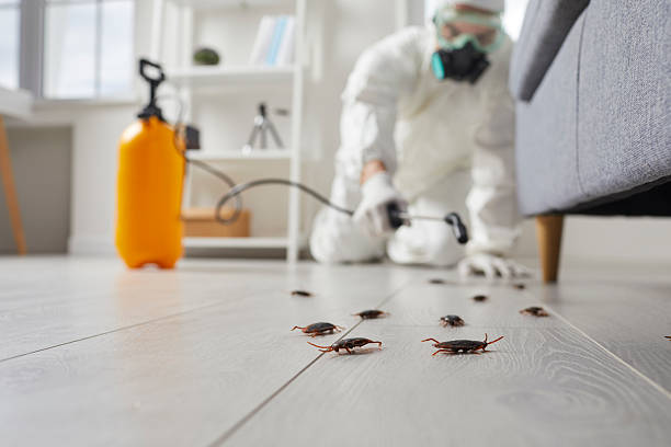 Commercial Kitchen Cockroach Control in Venersborg